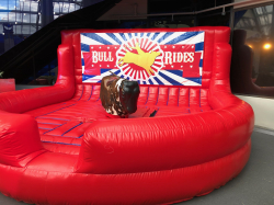 Mechanical Bull