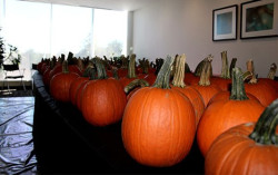 Pumpkin Carving Station