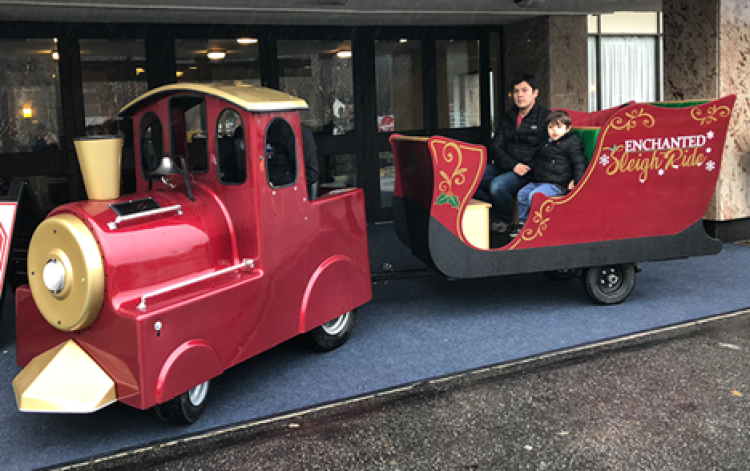Christmas Rentals