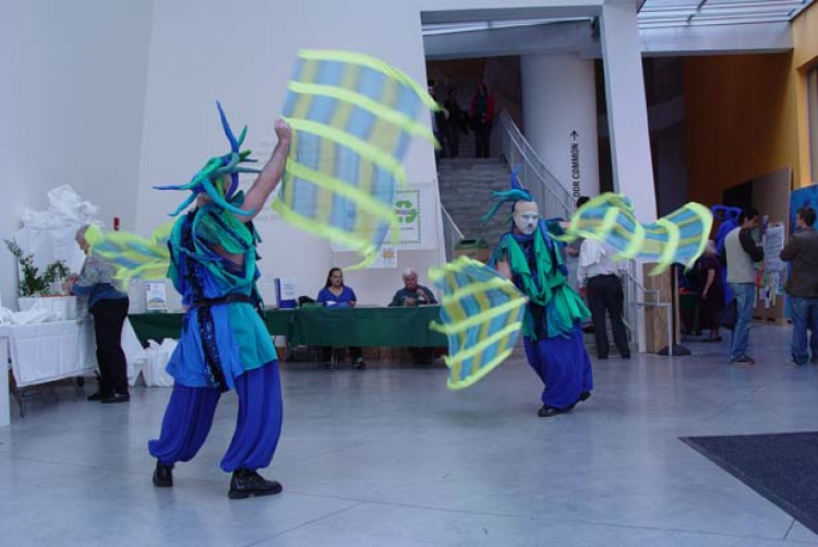 Flag Spinners