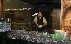 Flair/Performance Bar Tenders
