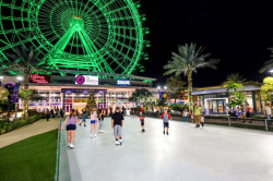 Synthetic Ice Skating Rink