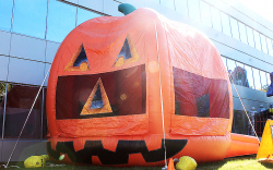 Pumpkin Bounce