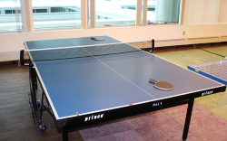 Ping Pong Table