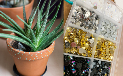 Plant Terrarium Decoration Station