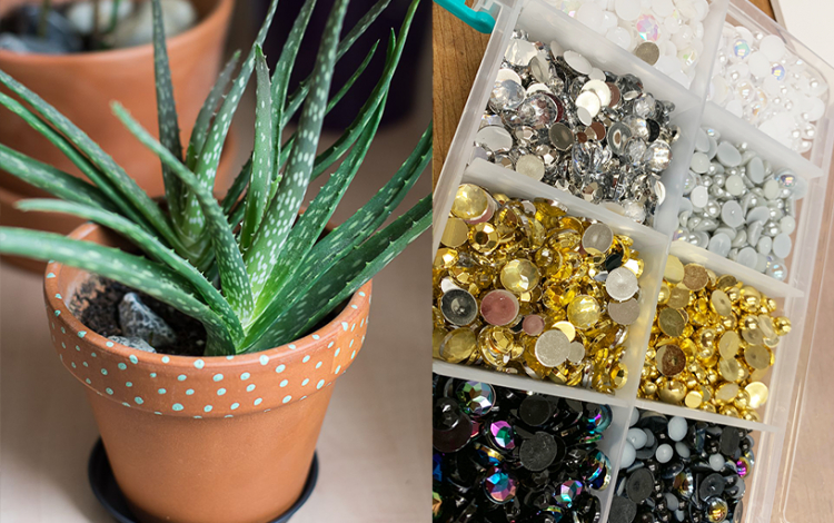 Plant Terrarium Decoration Station