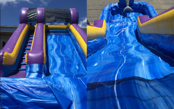 Dolphin Water Slide