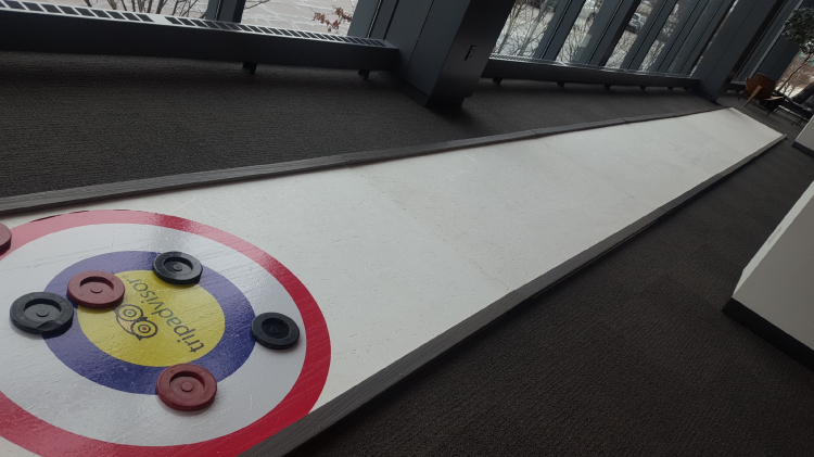 Synthetic Curling Lane