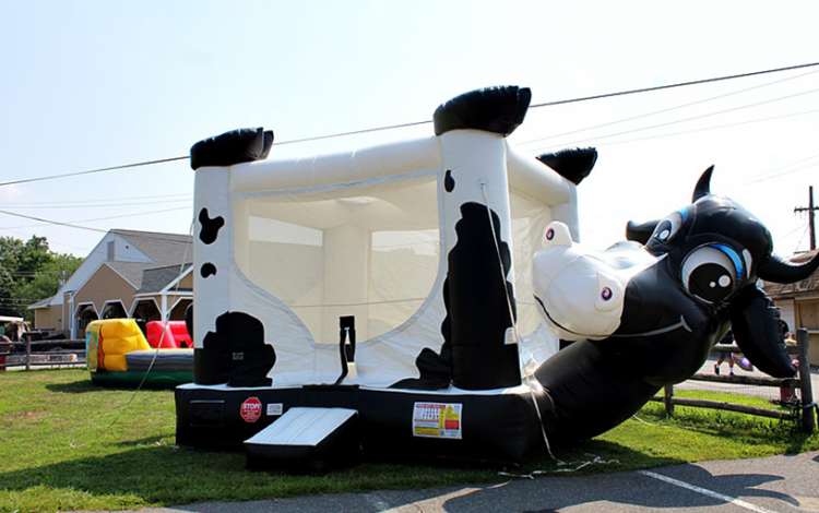 Cowbelly Bouncer