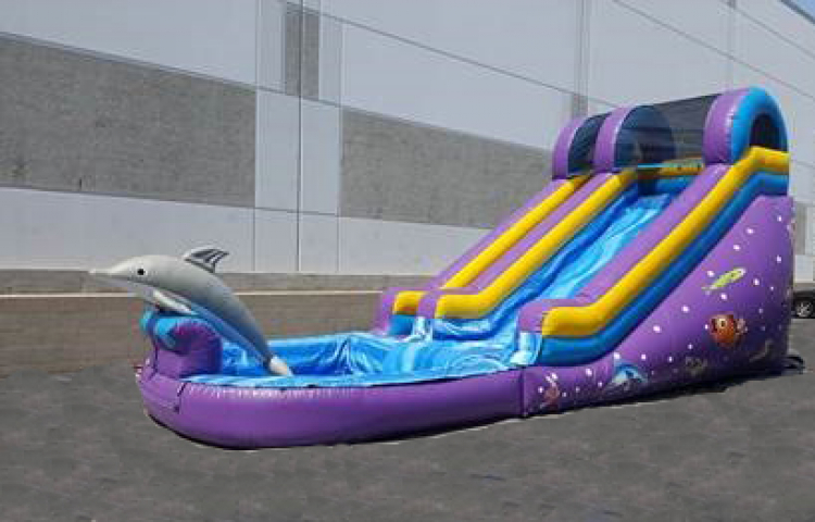 Dolphin Water Slide