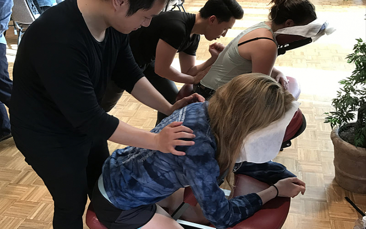 Massage Therapist