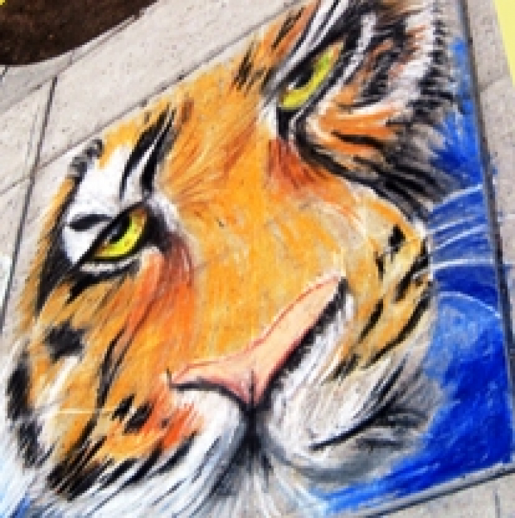 Chalk Artist
