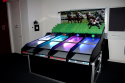 Roll-A-Ball Horse Racing