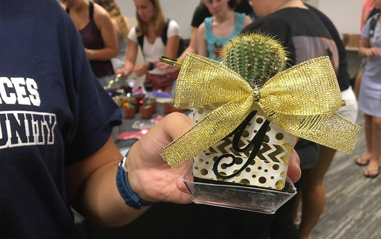 Cactus Creation Station