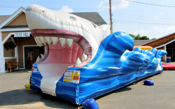 Shark Slip N Slide