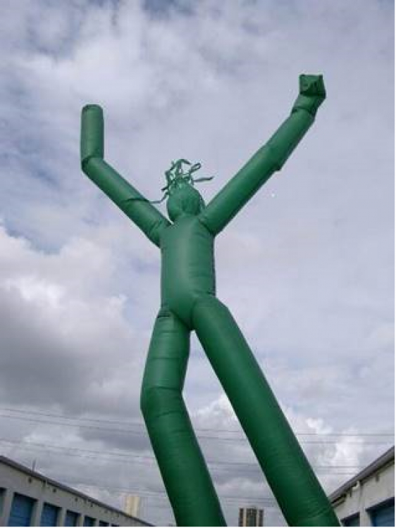 Green Fly Guy