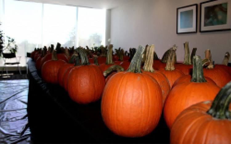 Pumpkin Painting