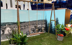 Wooden Swingset