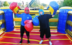 Big Glove Boxing