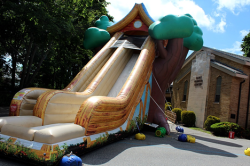 Tree House Slide