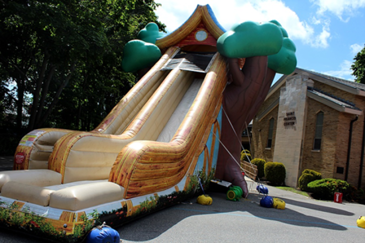 Tree House Slide