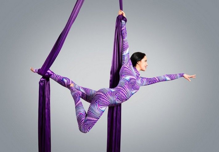 Aerial Silk Performer