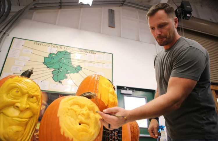 Live Pumpkin Sculptor