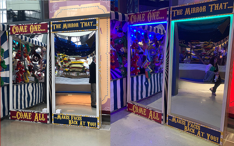 Fun House Mirror Deluxe
