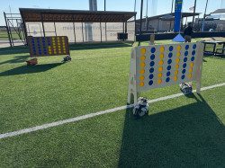 Wooden Giant Connect4