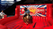Mechanical bull rental