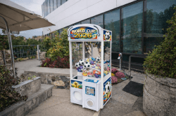 World Cup Winner Claw Game