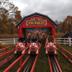 Human Pig Racer